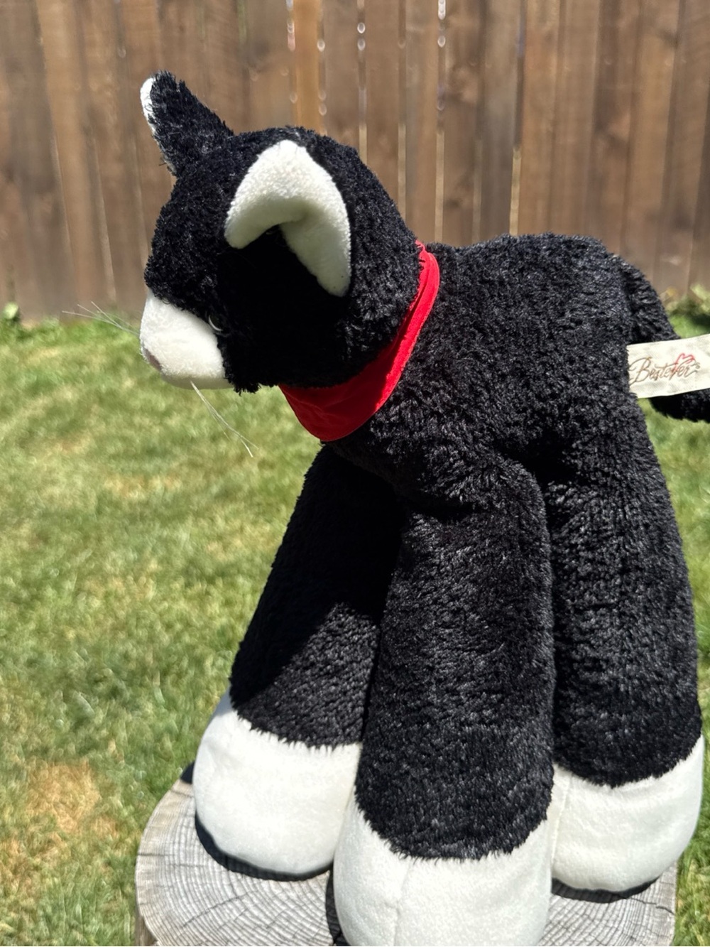Black & White Plush Cat Stuffed Animal with Red Collar - Brand: Buster